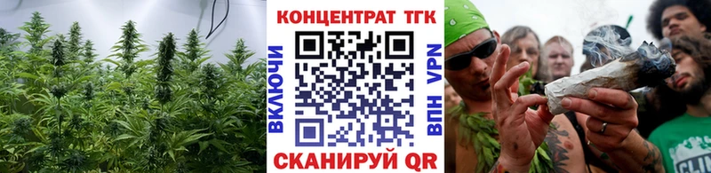 купить наркотик  Дорогобуж  мега рабочий сайт  дарк нет состав  ТГК THC oil 