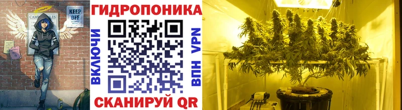 купить закладку  Дорогобуж  МАРИХУАНА семена 